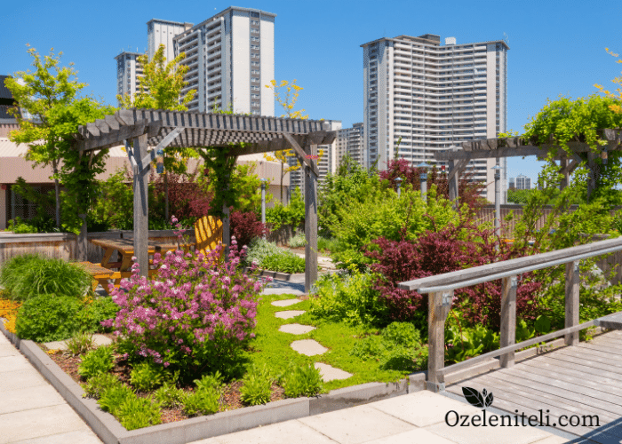 Покривно озеленяване