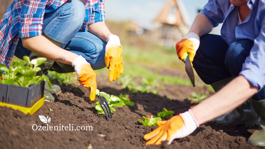 в градината през февруари