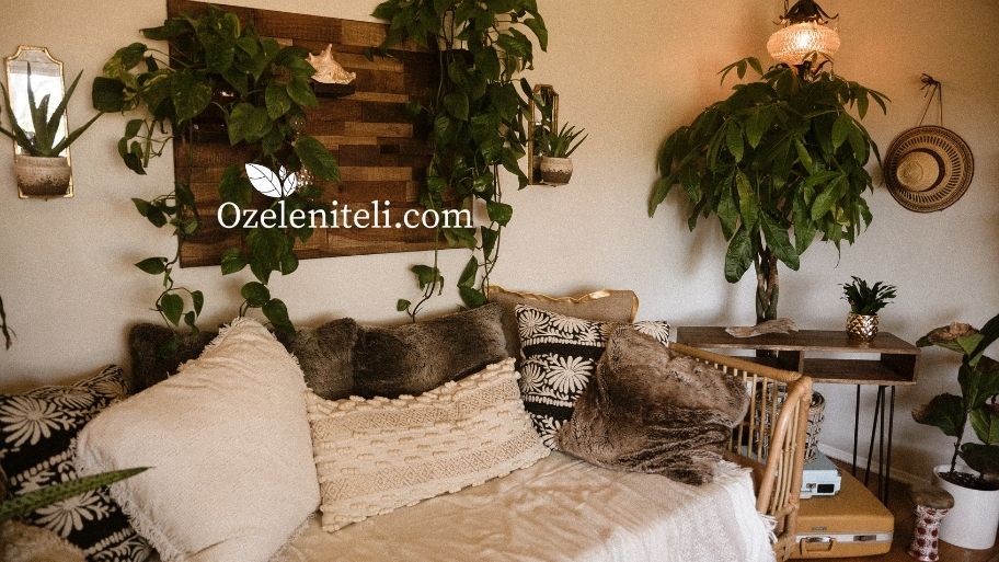 Интериорно озеленяване