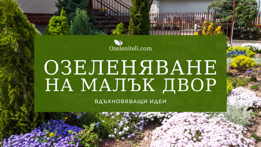 озеленяване на малък двор