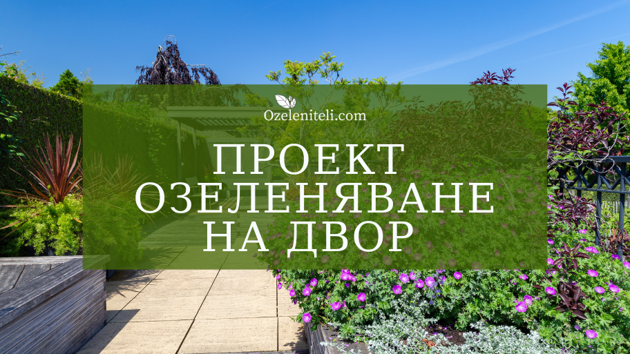 Проект за озеленяване на двор - Озеленители
