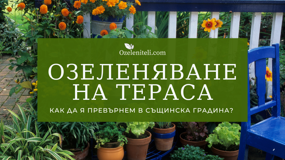 озеленяване на тераса