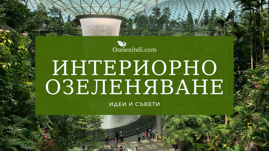 Интериорно озеленяване