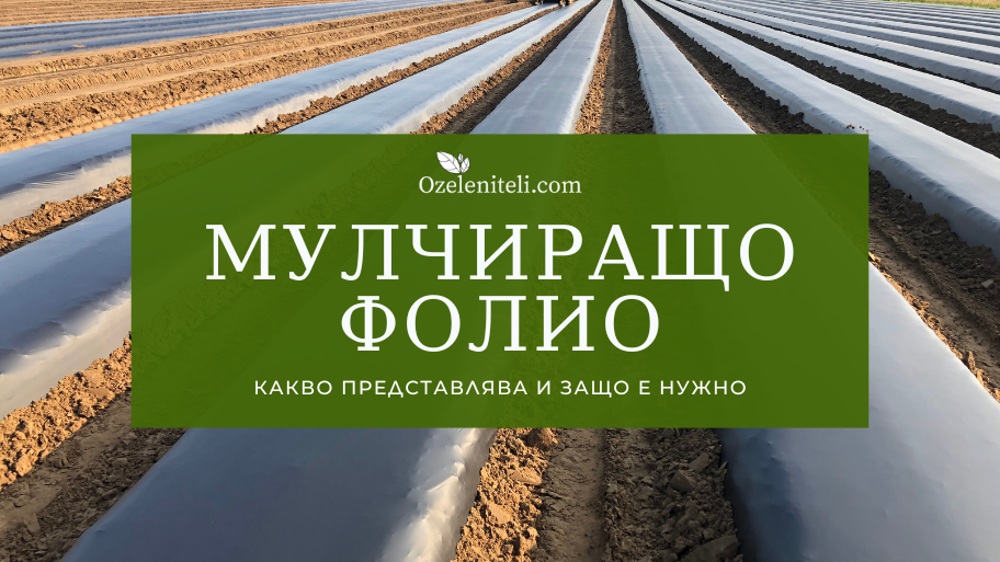 Мулчиращо фолио