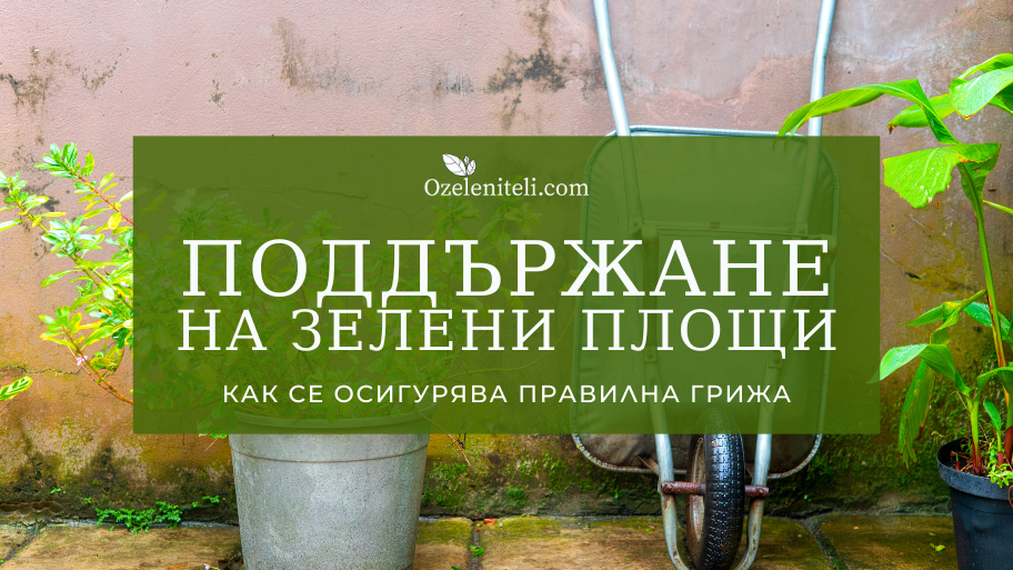 Поддържане на зелени площи