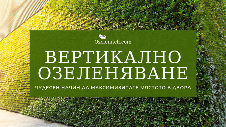 Вертикално озеленяване
