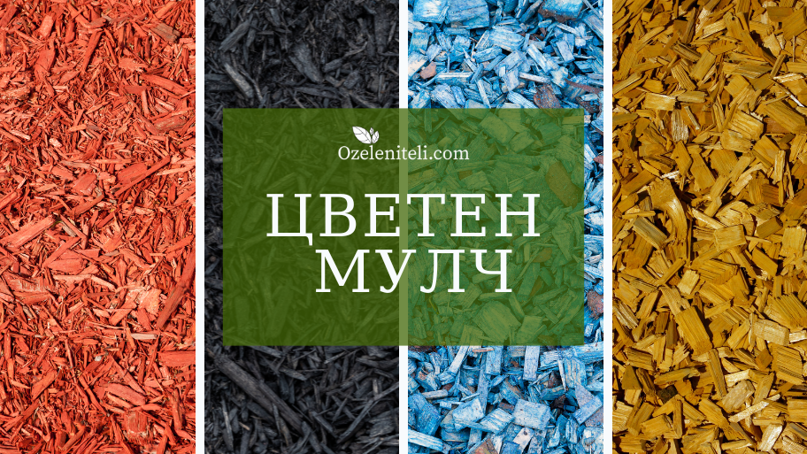 Цветен мулч | Какво да знаем при избор за градината?