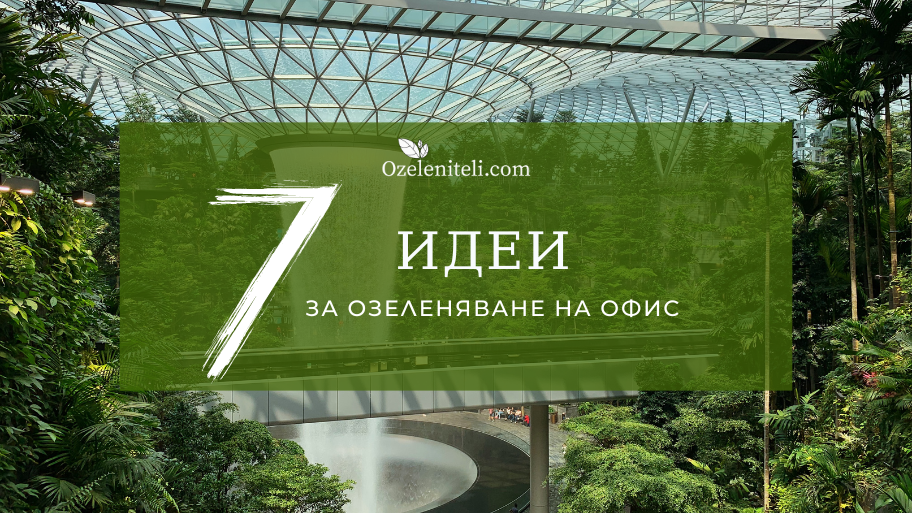 озеленяване на вашия офис
