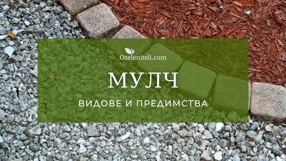 Мулч | Що е то и видове