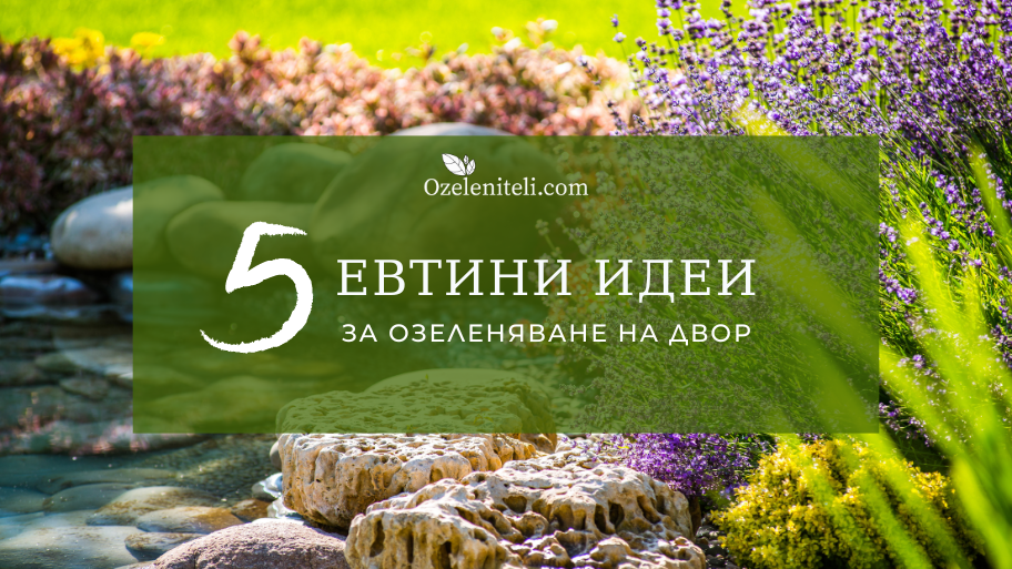 евтини идеи за озеленяване на двор