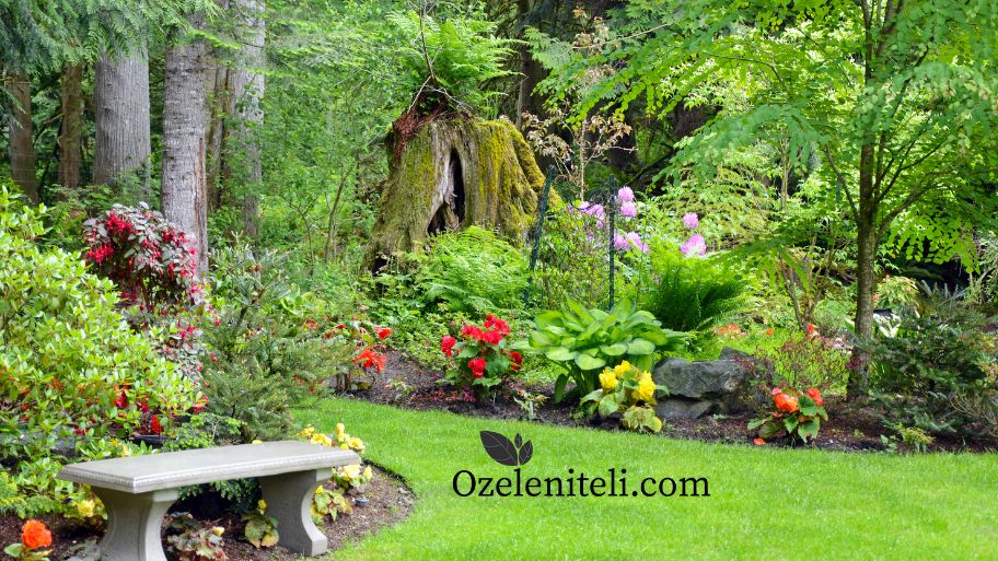 Август - Дейности в градината