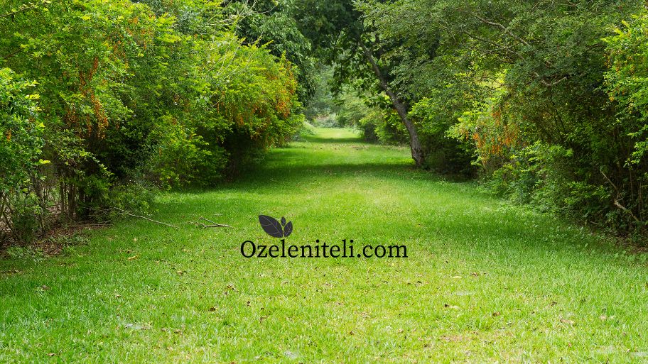 Декември - Дейности в градината