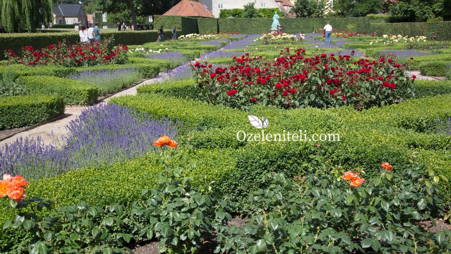 озеленяване на училищен двор