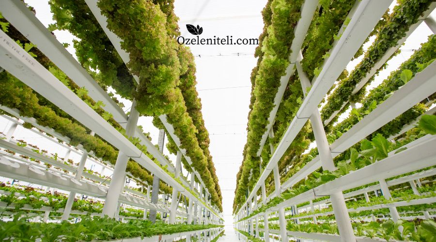 Вертикално озеленяване