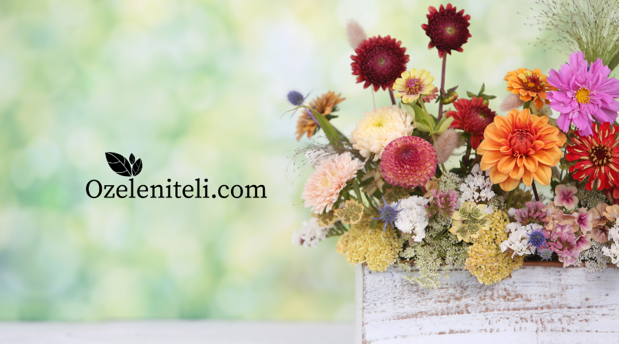 Аранжиране на цветя