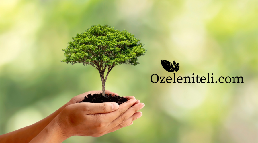 Декоративни дървета