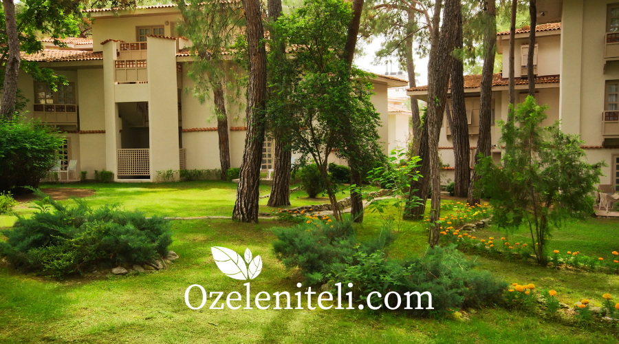 Създаване на уютен и функционален двор