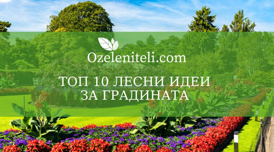 лесни идеи за градината