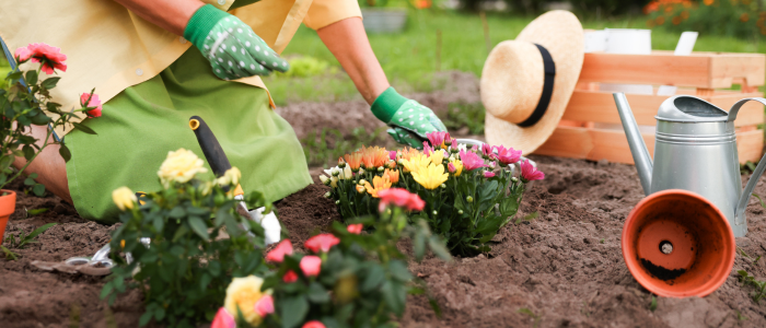 градински растения