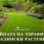 градински растения професионалисти