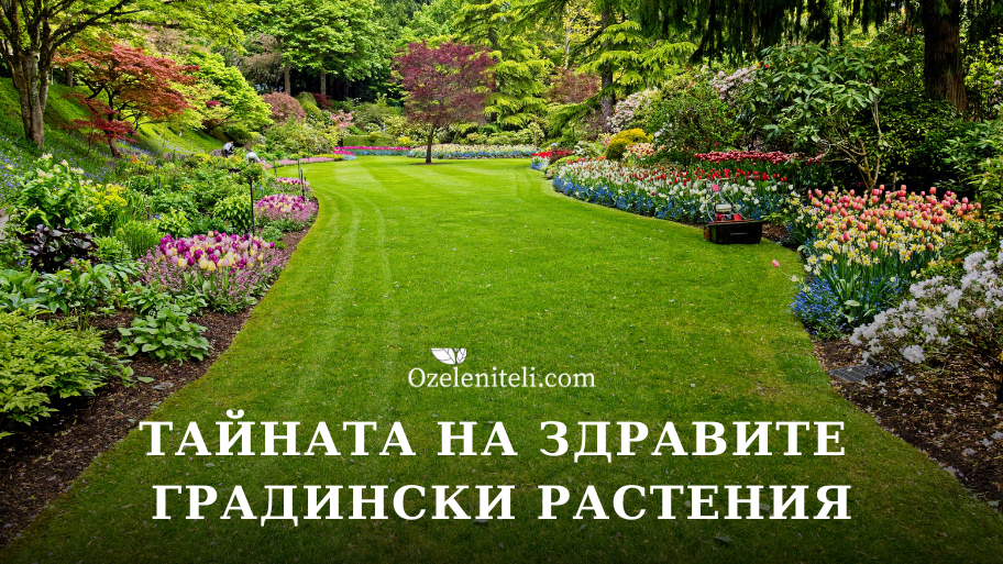 градински растения професионалисти