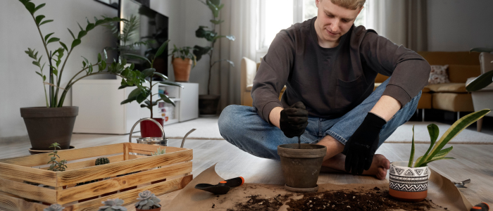 градински растения мулч