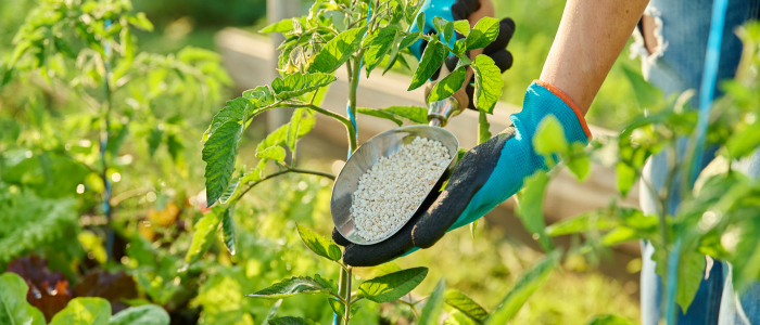 градински растения тор