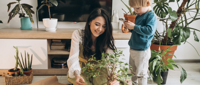градински растения в дома