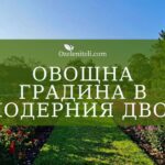 овощна градина в модерния двор