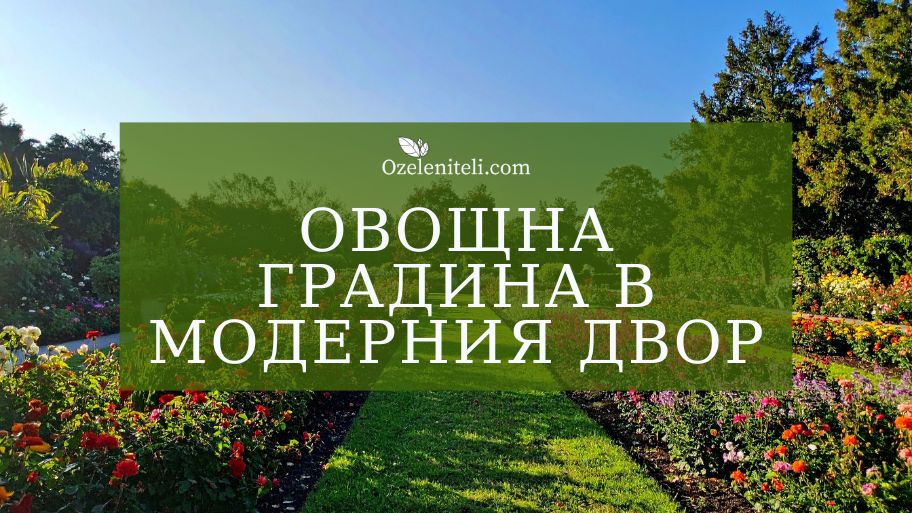 овощна градина в модерния двор